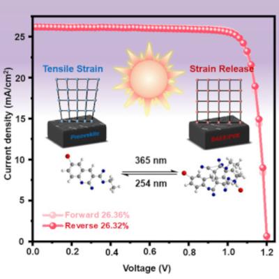 New avenue for highly efficient and stable perovskite photovoltaic production image