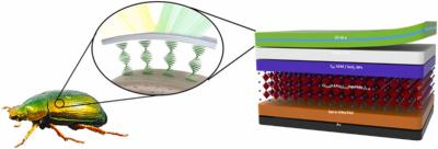 Beetles Inspire Color Changing Perovskite Solar Cells image