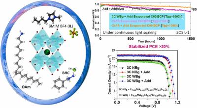 A universal multi-additive strategy to enhance efficiency and stability in inverted perovskite solar cells image