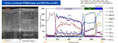 Cross sectional STEM - EDX perovskite solar (Toray Research Centre)