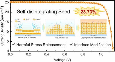 Perovskite solar cells with self-disintegrating seeds deliver an 83.64 % fill factor image