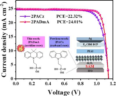 Dimethyl acridine SAM HTL enhances inverted perovskite solar cells image