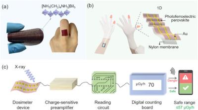Researchers develop flexible X-ray detectors for safer wearable radiation detection image