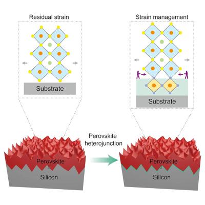 Strained heterojunction enables high-performance, fully textured perovskite/silicon tandem solar cells image