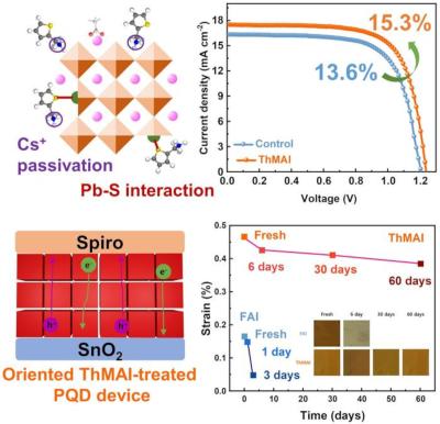 A schematic diagram of bilateral ligand bonding on the surface of perovskite quantum dots image