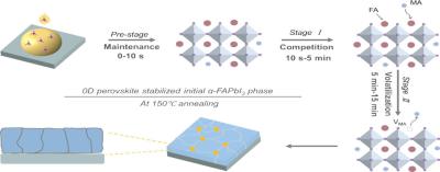 Stabilizing initial phase for efficient and stable FAPbI3 perovskite solar cells image