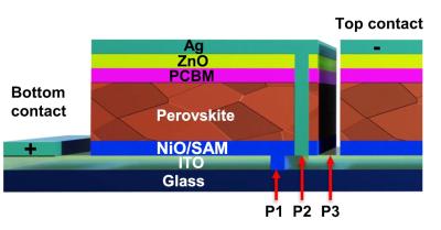 Schematic illustration of the perovskite lab cell-sized module image