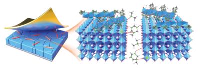 The roles of the two cations in the 3D perovskite matrix image