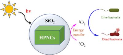 Double Layer SiO2-Coated Water-Stable Halide Perovskite as a Promising Antimicrobial Photocatalyst under Visible Light image