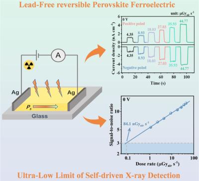 Highly resistive lead-free perovskite ferroelectric enables self-driven X-ray detection with ultralow dose image