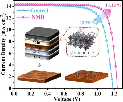 The use of NMB as a surface modifier in CsPbI2Br perovskite films image