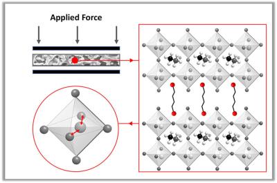 The Impact of Piezoelectricity in Low Dimensional Metal Halide Perovskite image