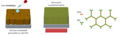 Intermediate-dominated perovskite crystallization by pre-embedded DVS image