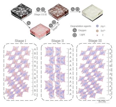 The evolution from tin-lead perovskites to a reconstruction of lead perovskites under light image