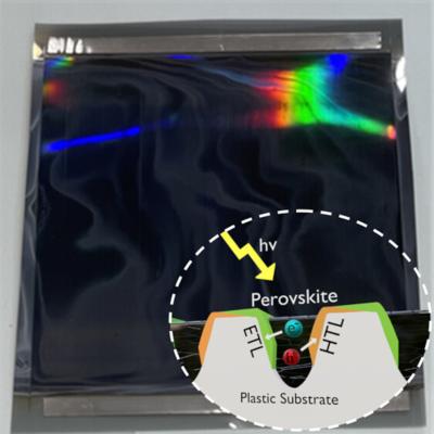 Back-Contact Perovskite Solar Cell Modules Fabricated via Roll-to-Roll Slot-Die Coating image