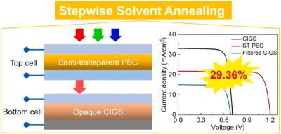 A stepwise solvent-annealing strategy for high-efficiency 4T Perovskite/Cu(InGa)Se2 tandem solar cells image