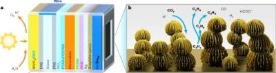 Design of a perovskite–BiVO4 artificial leaf device towards unassisted C2 hydrocarbon synthesis image